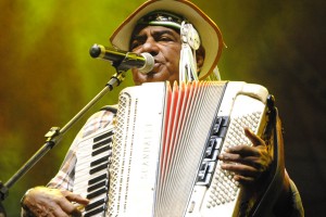 pintodoacordeon_foto_andreagisele2